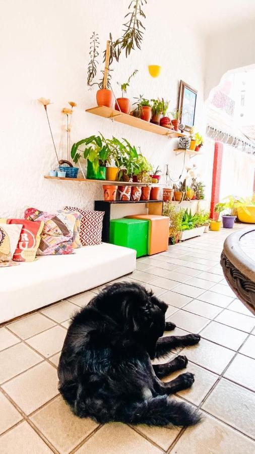 Zili Pernambuco - Hostel Pousada Recife Exteriér fotografie