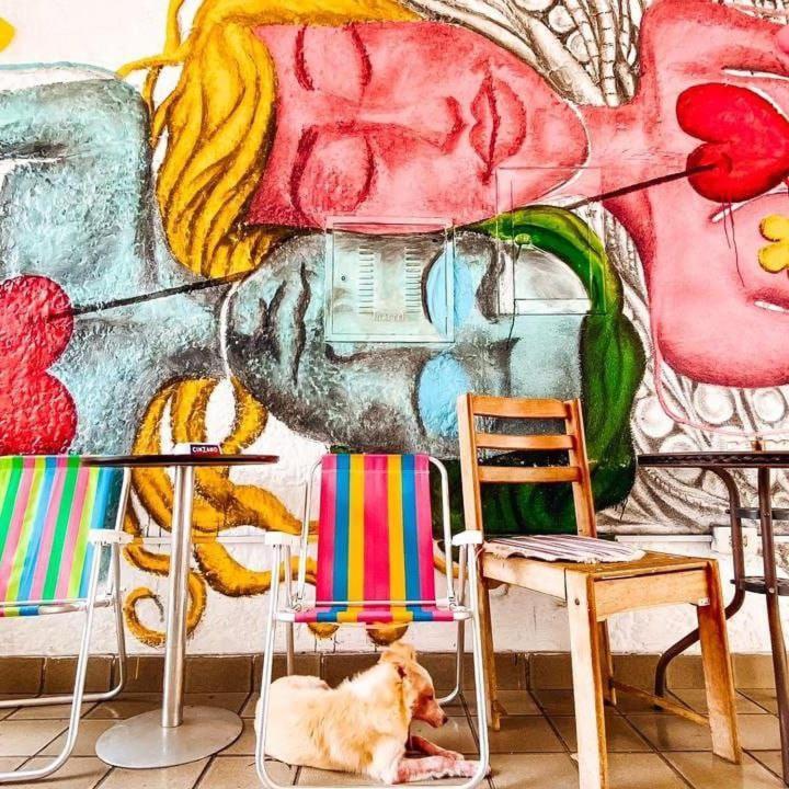 Zili Pernambuco - Hostel Pousada Recife Exteriér fotografie