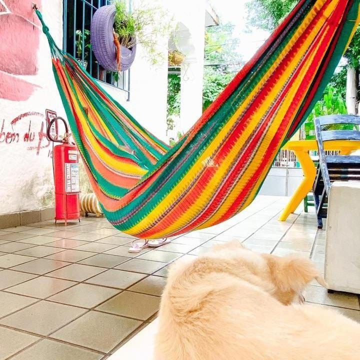 Zili Pernambuco - Hostel Pousada Recife Exteriér fotografie
