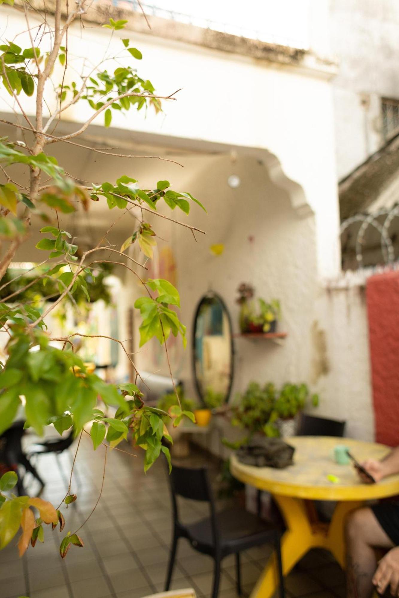 Zili Pernambuco - Hostel Pousada Recife Exteriér fotografie